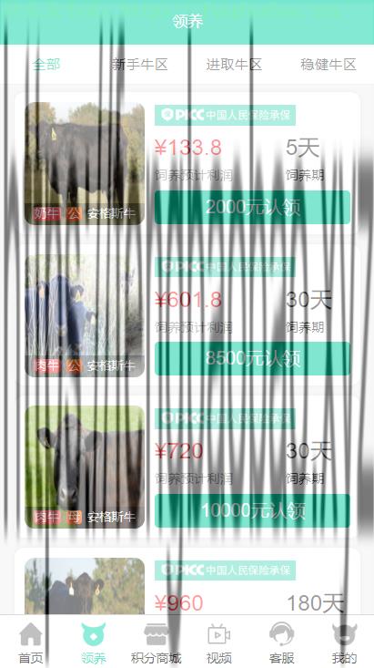 A981 【牧场养牛】带积分商城+抽奖+会员特权