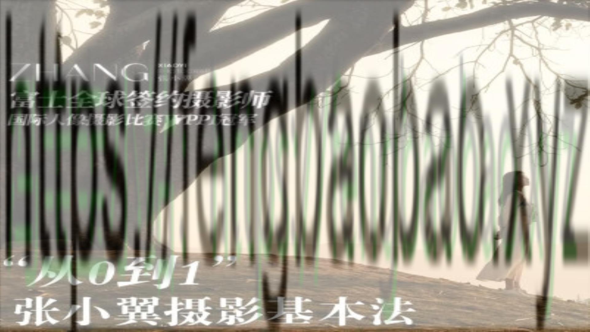 张小翼2023年从0到1摄影基本法课程-冯宝宝小站