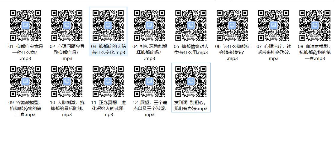 《讲解让抑郁症远离每个人课程》-冯宝宝小站