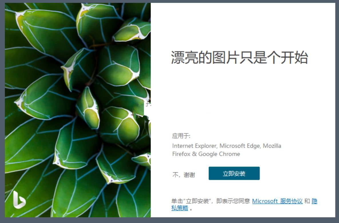 Bing Wallpaper微软壁纸v1.1.400中文多语版-冯宝宝小站