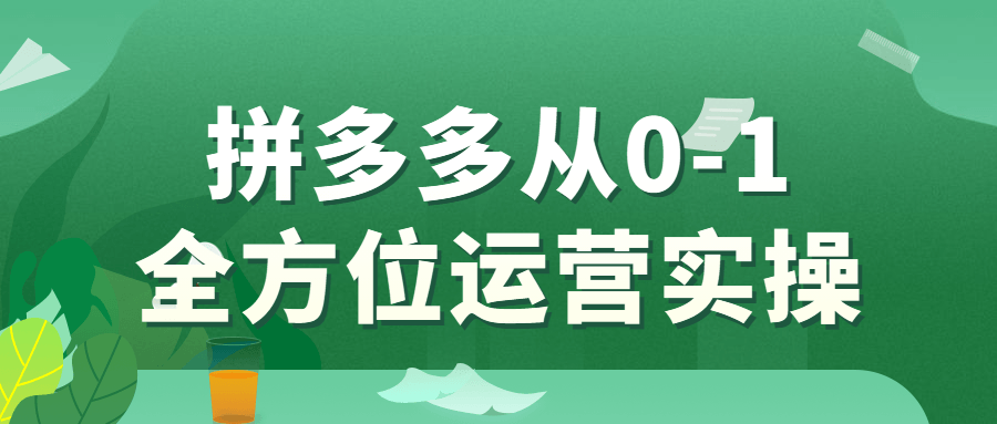 拼多多从0-1全方位运营实操-冯宝宝小站