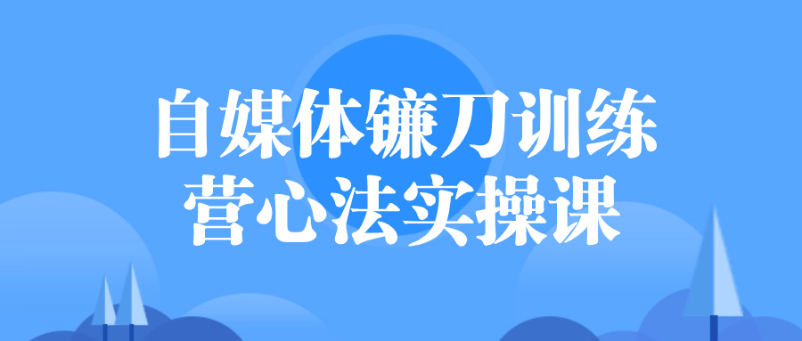 自媒体镰刀训练营心法实操课-冯宝宝小站