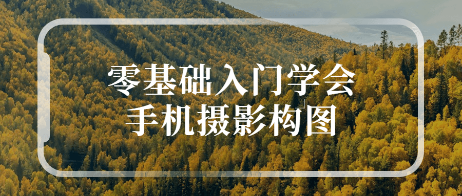 零基础入门学会手机摄影构图-冯宝宝小站