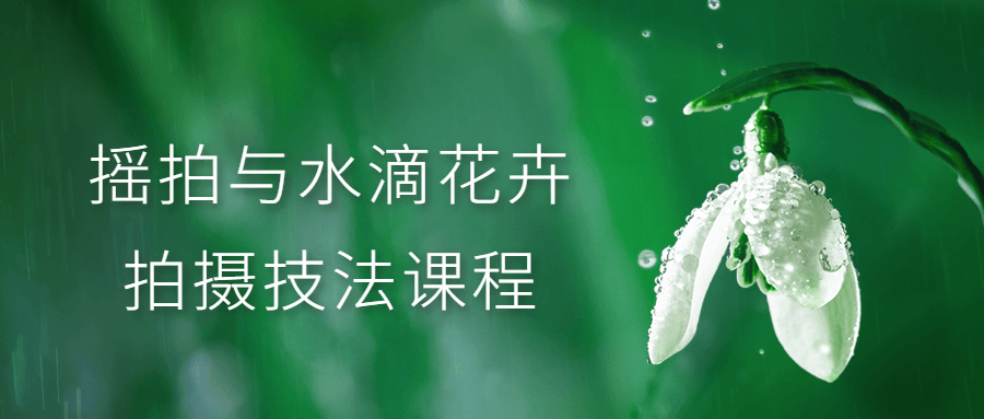 摇拍与水滴花卉拍摄技法课程-冯宝宝小站