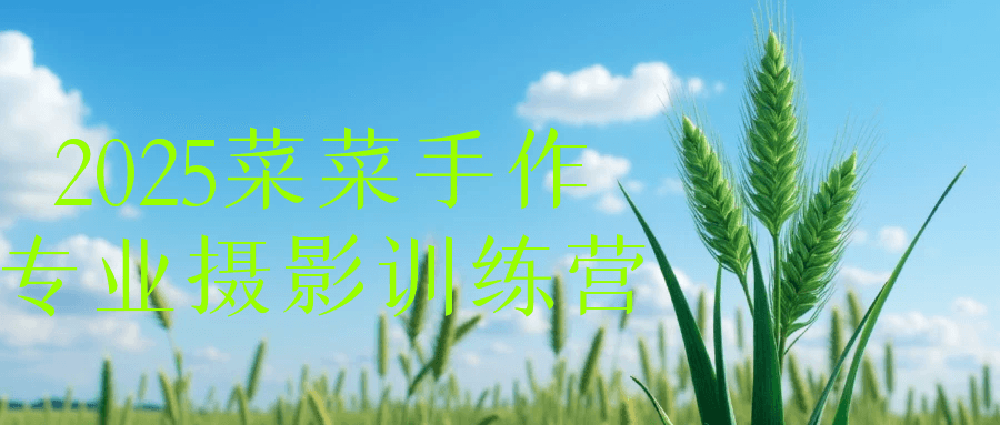 2025菜菜手作专业摄影训练营-冯宝宝小站
