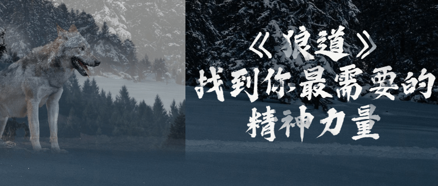 《狼道》找到你最需要的精神力量-冯宝宝小站