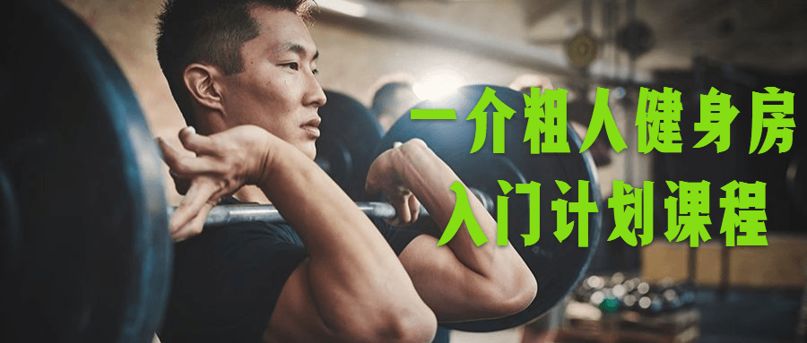 一介粗人健身房入门计划课程-冯宝宝小站