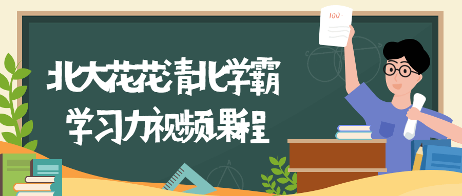 北大花花清北学霸学习力课程-冯宝宝小站